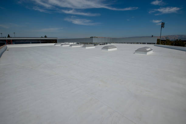 Professional Roofing Service in Martin, TN