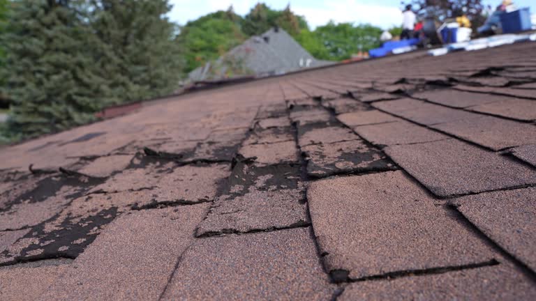 Trusted Martin, TN Roofing Service Experts
